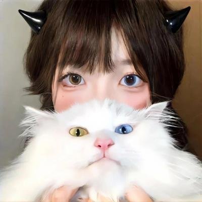 开局四个美相公 动态漫画第二季